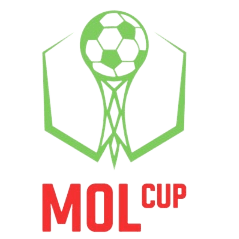 كأس التشيك