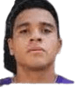 Carlos torres