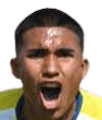 راميرو ميغيل بيرالتا