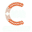 Guangdong Chengjun